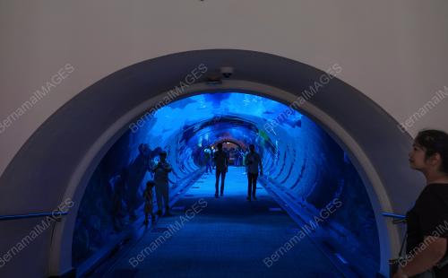 DUBAI MALL AQUARIUM