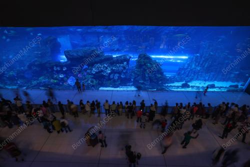 DUBAI MALL AQUARIUM
