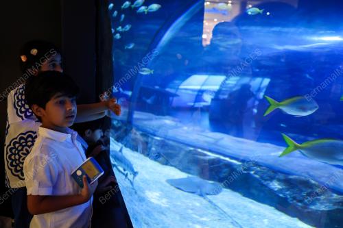 DUBAI MALL AQUARIUM