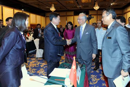 UMNO 2011