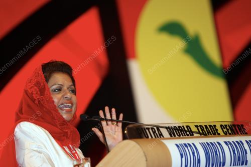 UMNO 2009