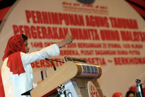 UMNO 2009