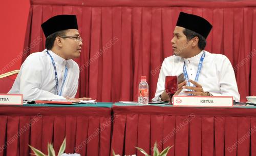 UMNO100_04122013_PEMUDA