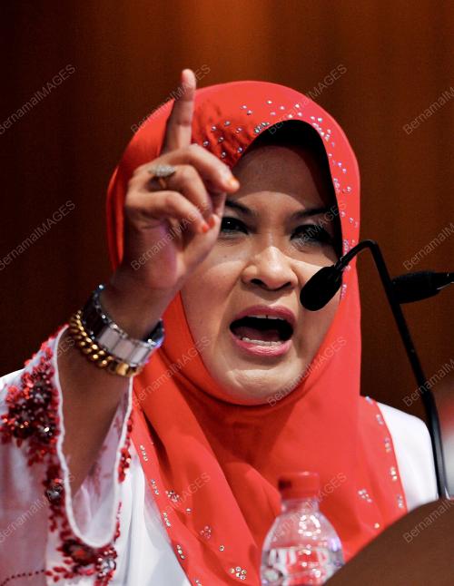UMNO113_29112012_UMNO_2012