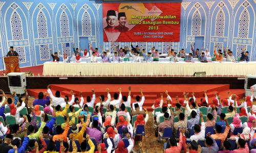 UMNO139_19102013_PERWAKILAN