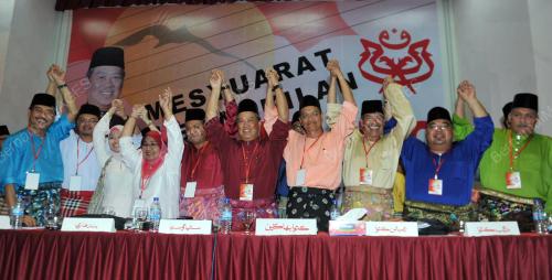 UMNO166_19102013_TPM_UMNO_PAGOH