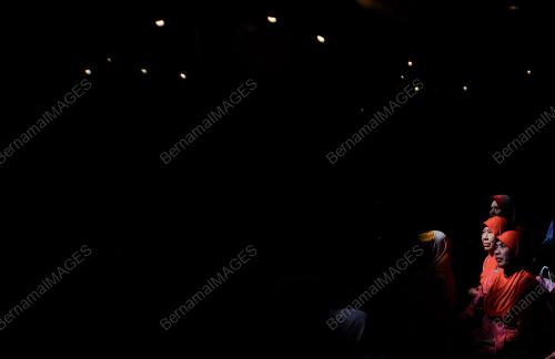 UMNO17_29112014_UMNO