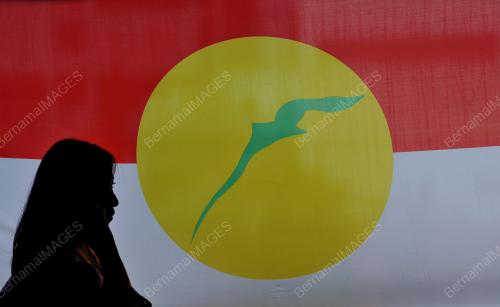 UMNO22_27112012_UMNO_2012