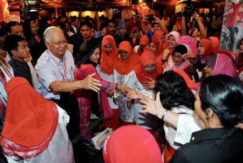 UMNO49_28112012_PM_TINJAU