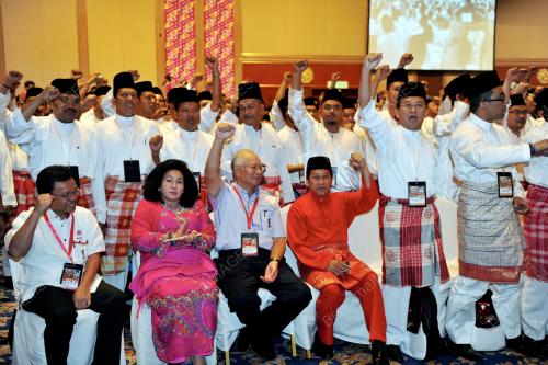 UMNO52_28112012_PM_TINJAU