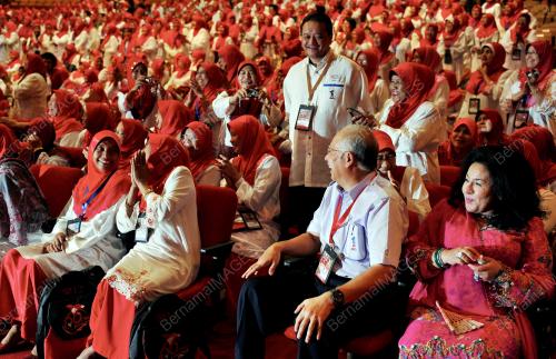 UMNO55_28112012_PM_TINJAU