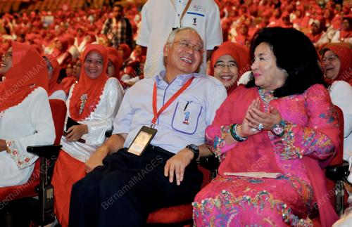 UMNO57_28112012_PM_TINJAU