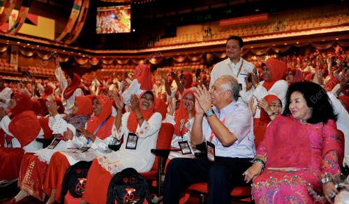 UMNO58_28112012_PM_TINJAU