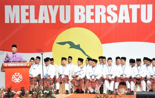 UMNO95_25112014_UMNO_2014