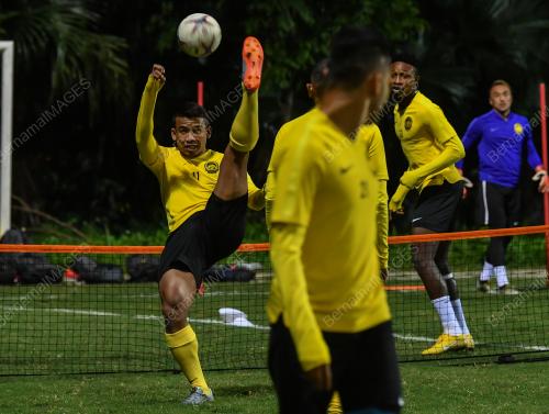 VET03_13122018_TRANING