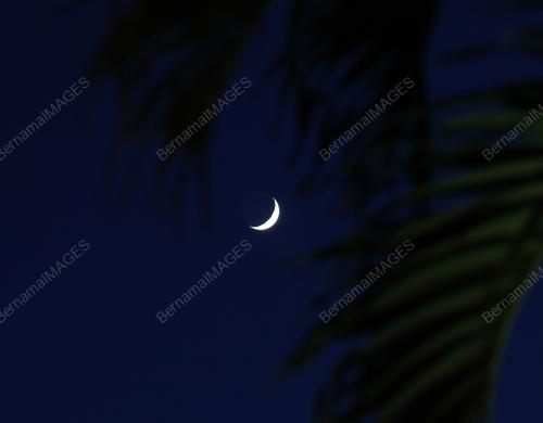 ANAK BULAN