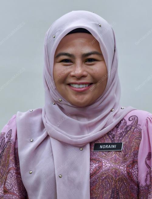 DATUK DR NORAINI AHMAD