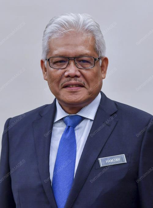 DATUK SERI HAMZAH ZAINUDDIN