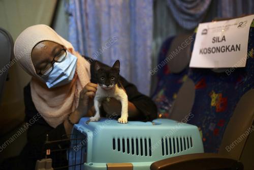 AMIRA ATIQA AZMAN